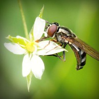 /album/tentaliwork/photolia-a02-jpg/