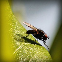 /album/tentaliwork/photolia-a04-jpg/