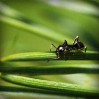 /album/tentaliwork/photolia-a05-jpg/