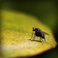 /album/tentaliwork/photolia-a07-jpg/