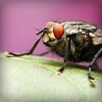 /album/tentaliwork/photolia-a08-jpg/